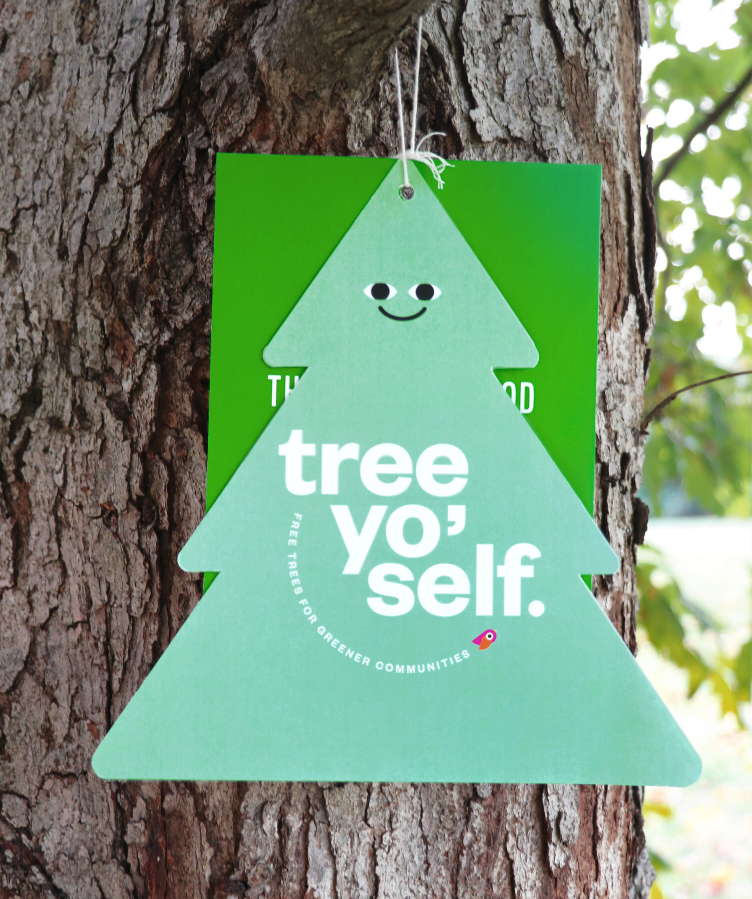 TreeAlliance_Webstrip_04-1-1506×1800-1