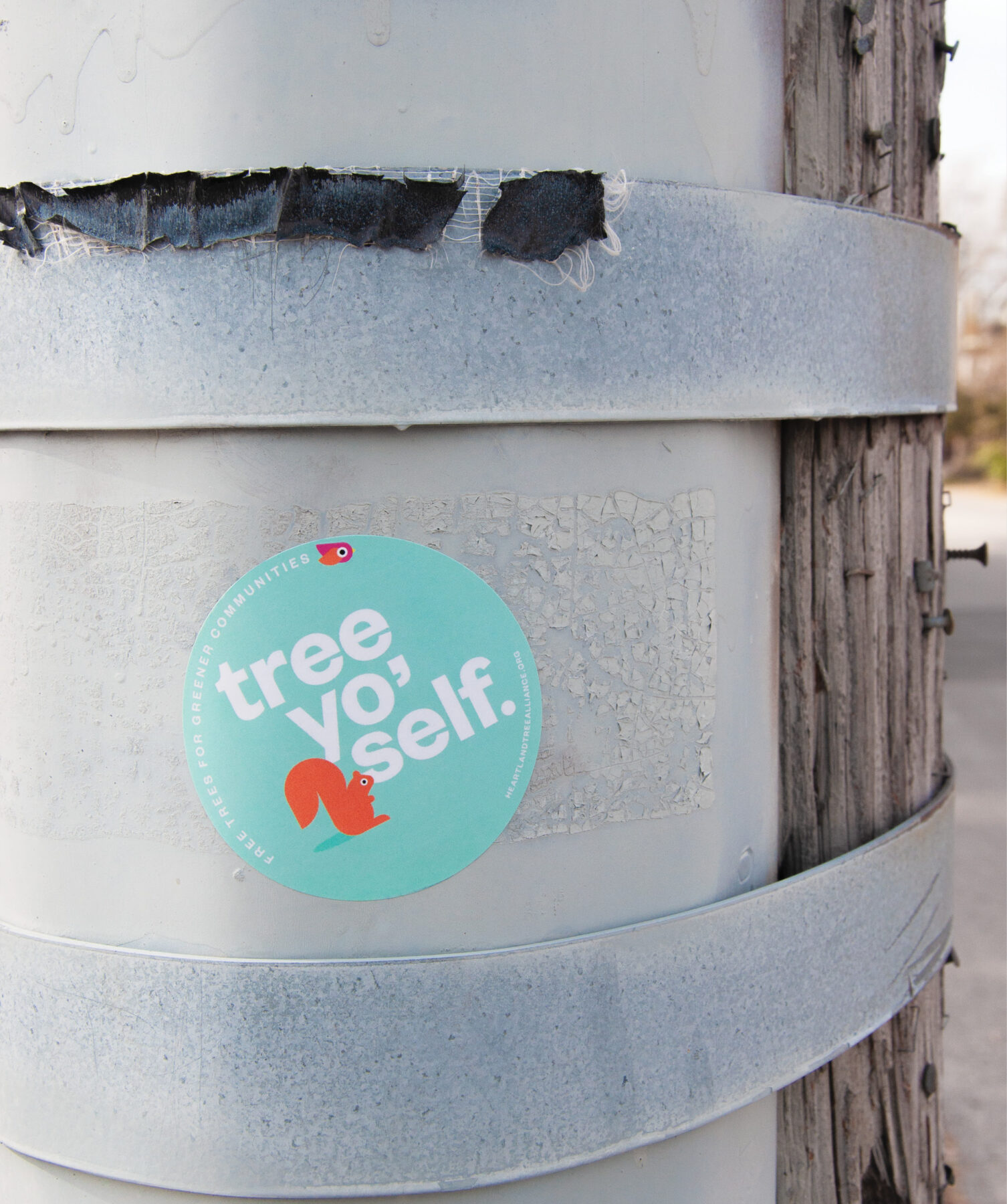 TreeAlliance_Webstrip_10-1506×1800-1