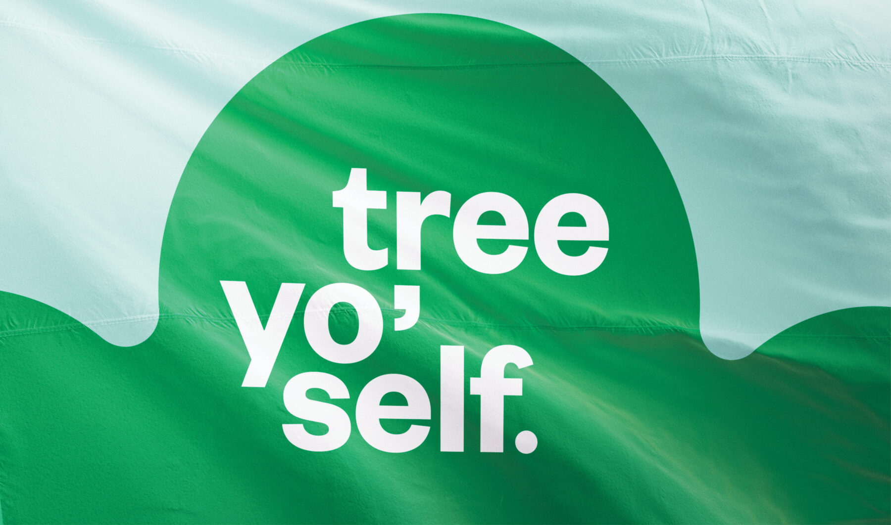 TreeAlliance_Webstrip_C_01-1800×1062-1